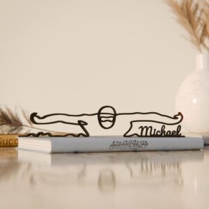 Custom Swimmer Line Art Decor Figure Plastic Personalized Gift for Swimming Enthusiast Minimal Display for Home Office Studio Shelf Desk Living Space India