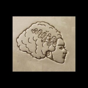 Bride of Frankenstein Side Face Black Cookie Cookie Cutter for Halloween Party Dessert Decoration Spooky Horror Theme Biscuit Making Tool for October Baking Haunted House Celebration