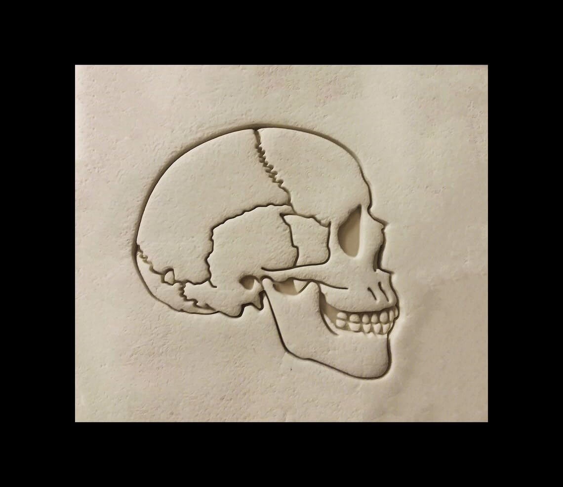 Skull Side Face Black Cookie Cookie Cutter for Halloween Party Baking Spooky Skeleton Face Cookie Making Tool for Haunted House Dessert Decoration Scary Theme October Holiday