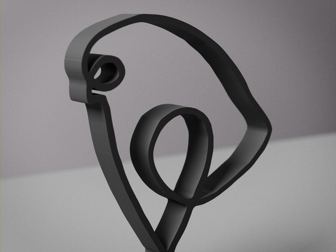 Picasso Bird Personalized Line Art Figure Plastic Artistic Home Decor with Name Detail for Modern Art Lovers Desk Shelf Table Living Room Office Creative Display India - Image 3