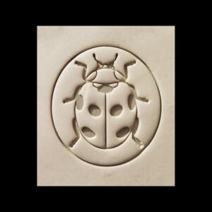 Black Ladybug Cookie Cutter Cookie India Insect Theme Biscuit Cutter for Spring Garden Bug Treats Nature Party Snacks Cute Animal Cookies Kids Baking Crafts and Outdoor Picnic