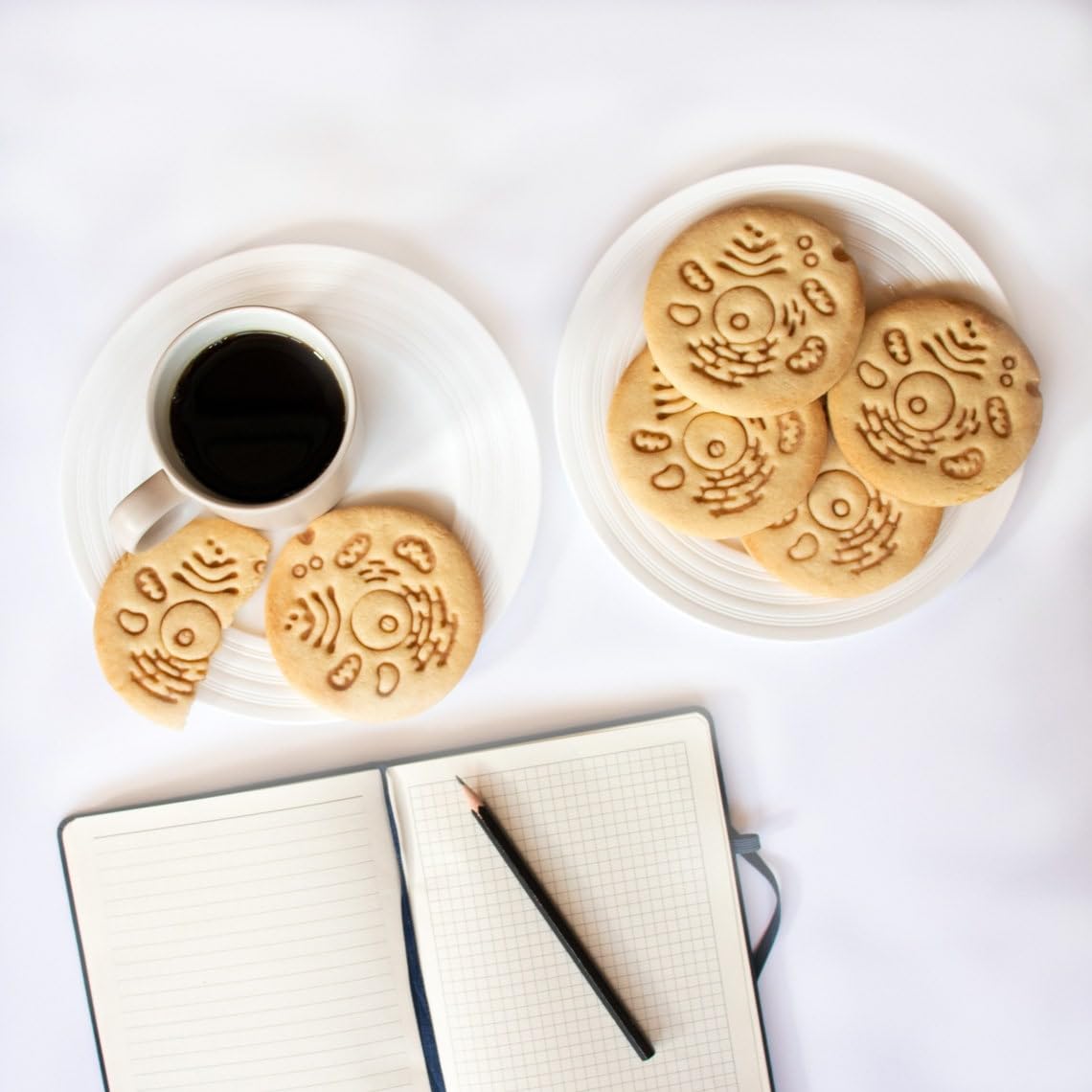 Human Cell Cookie Cutter for Biology and Anatomy Students Biscuit Cutter Educational Science Tool Featuring Cell Structures Gifts Botanists Phytologists Biology Enthusiasts (ONLY HUMAN CELL) - Image 3