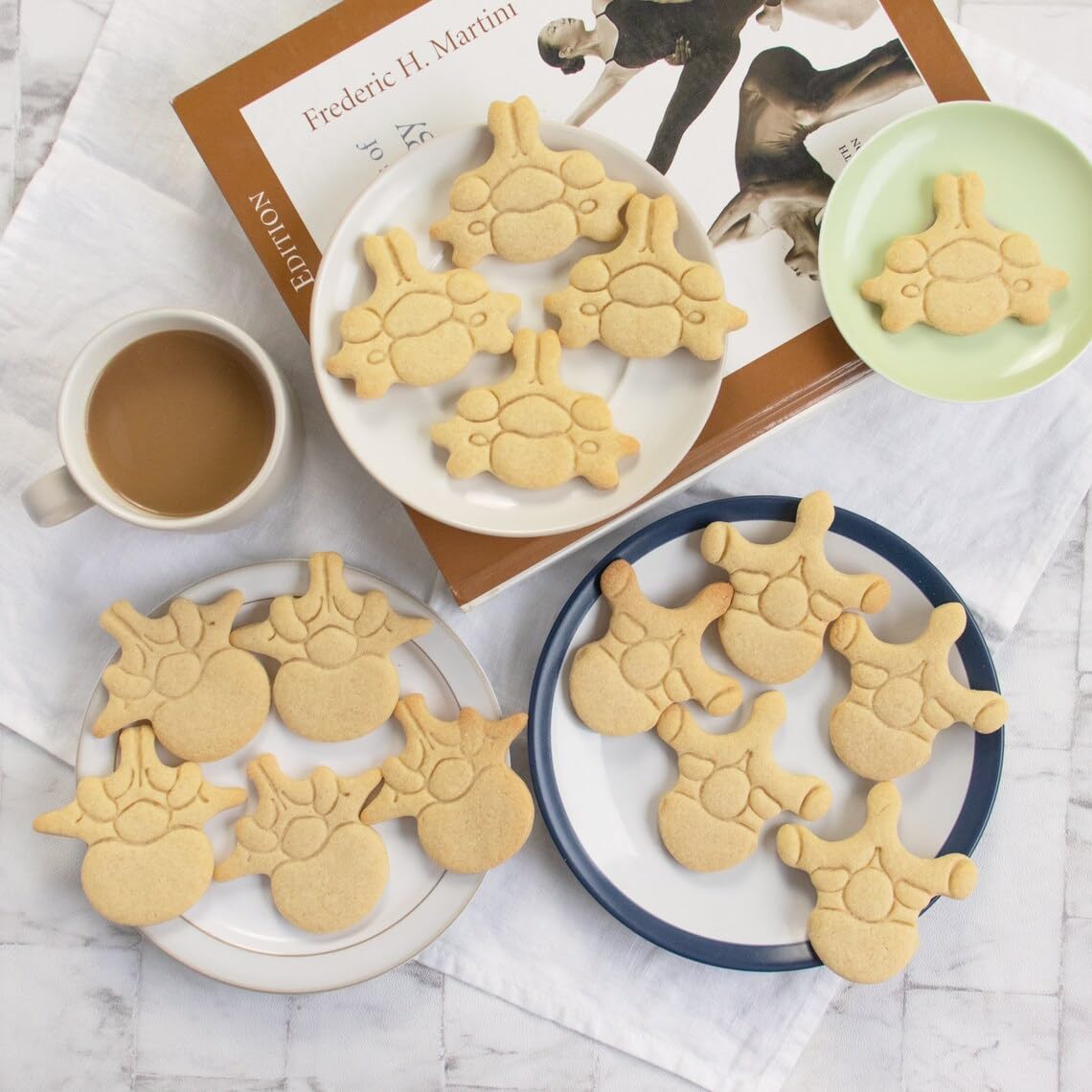 Thoracic Vertebra Cookie Cutter Medical Science Themed Baking Human Spine Anatomy Biscuit Fondant Clay Cutter for Doctor Nurse Student Birthday Party Educational Gifts (ONLY THORACIC VERTEBRA) - Image 4