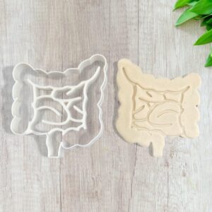 Intestine Cookie Cutter for Shortbread Cookies Pastry Fondant Sugar Paste Dough Homemade Cake Decoration Anatomy Theme Baking Tool for Medical Events Science Projects Gifts