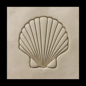 Sea Shell Black Cookie Cookie Cutter for Ocean Themed Baking Beach Party Desserts Summer Cookies and Underwater Celebration Treats Coastal Inspired Baking Tool