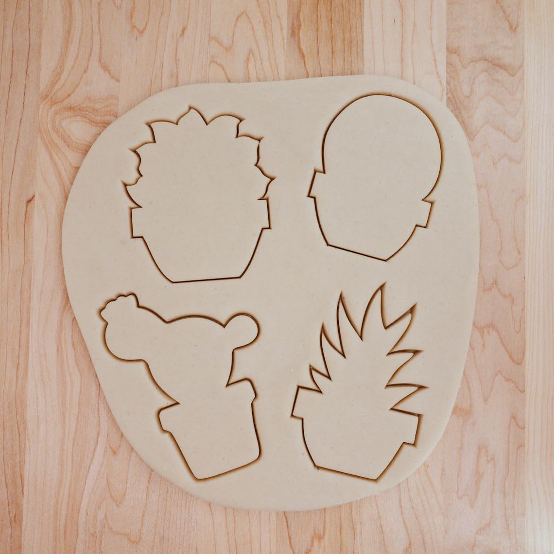 Succulent Cactus Plant Lover Plant Mom Cookie Cutter Set India Cookie Mold with 4 Unique Shapes for Baking Fondant Clay Decorations Perfect for Gardeners and Plant Enthusiast Gifts - Image 4
