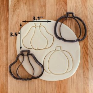 Pumpkin Gourd Fall Thanksgiving Cookie Cutter Set India Cookie Detailed Pumpkin and Gourd Shape Cutters for Autumn Baking, Fondant, Clay Crafts, Holiday Celebrations, and Seasonal