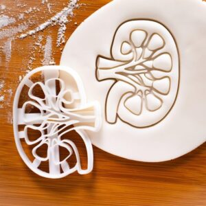 Internal Kidney Cookie Cookie Cutter Anatomical Design 1 Biscuits Medical Students Human Body Organ Renal System Educational Tools Anatomy Parts Gifts for Science Enthusiasts (ONLY Design 1)
