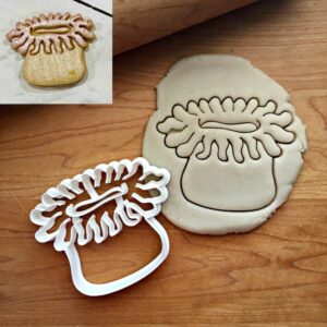 Cookie Sea Anemone Cookie Cutter for Baking Biscuits Cake Fondant Decorations Suitable Size Made in India for Ocean, Beach, and Underwater Themed Parties, Events, and Fun Treats