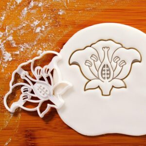 Flower Reproductive System Cookie Cutter Cookie Mold for Biscuit Fondant Clay Baking Educational Biology Pollination Study Teaching Aid Baking Tools