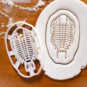 Trilobite Cookie Cookie Cutter Biscuits Extinct Marine Arthropod Fossil Shape Jurassic Era Trilobita Fossilized Exoskeleton Design Perfect Science Lovers Paleontology Baking (ONLY Trilobite)