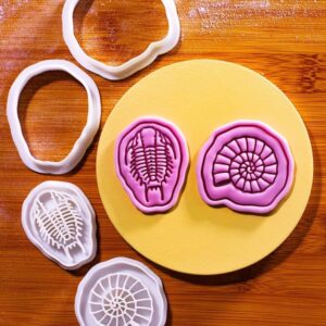 Echoes of The Sea Mini 2 Cookie Cutter and Stamp Set Cookie Ammonite Trilobite Fossil Dinosaur Design Paleontology Baking Tool Dinosaur Cupcake Toppers Fossil Biscuit Cutter India
