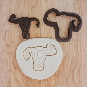 Uterus and Female Power Cookie Cookie Cutter and Stamp Set of 2 for Feminist Baking, Women Rights Crafts, and Empowerment Projects with Fondant, Clay, and Cookies in India