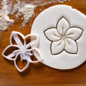 Frangipani Flower Cookie Cutter Cookie Bake Biscuit Cutter Plumeria Blossom Petal Design Floral Baking Tool for Horticulture Garden Lovers Tropical Flower Cookies India