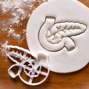 Human Pancreas Cookie Cutter Set - Unique Gift for Medical Students | Perfect for Anatomy Lessons and Diabetes Awareness