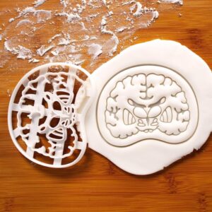 Brain Coronal Section Cookie Cutter Neuroanatomy Biscuit Mold for Neuroimaging Enthusiasts Neuroscience Students Medical Education CNS Anatomy Neuroradiology Science Baking and Teaching