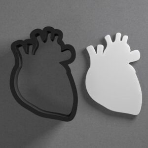 Human Heart Anatomical Shape Polymer Clay Cutter with Sharp Tapered Edge for Accurate Cutting, Jewelry and Earring Tool for Mini Studs and Pendant Sets, Cookie Cutter for Crafting