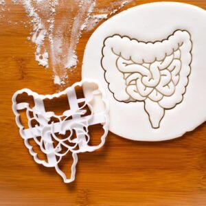 Intestines Cookie Cookie Cutter Human Body Anatomy Baking, Perfect Gift for Internal Medicine Professionals, Doctors, Nurses, Medical Students, and Themed Halloween Parties (ONLY Intestines)