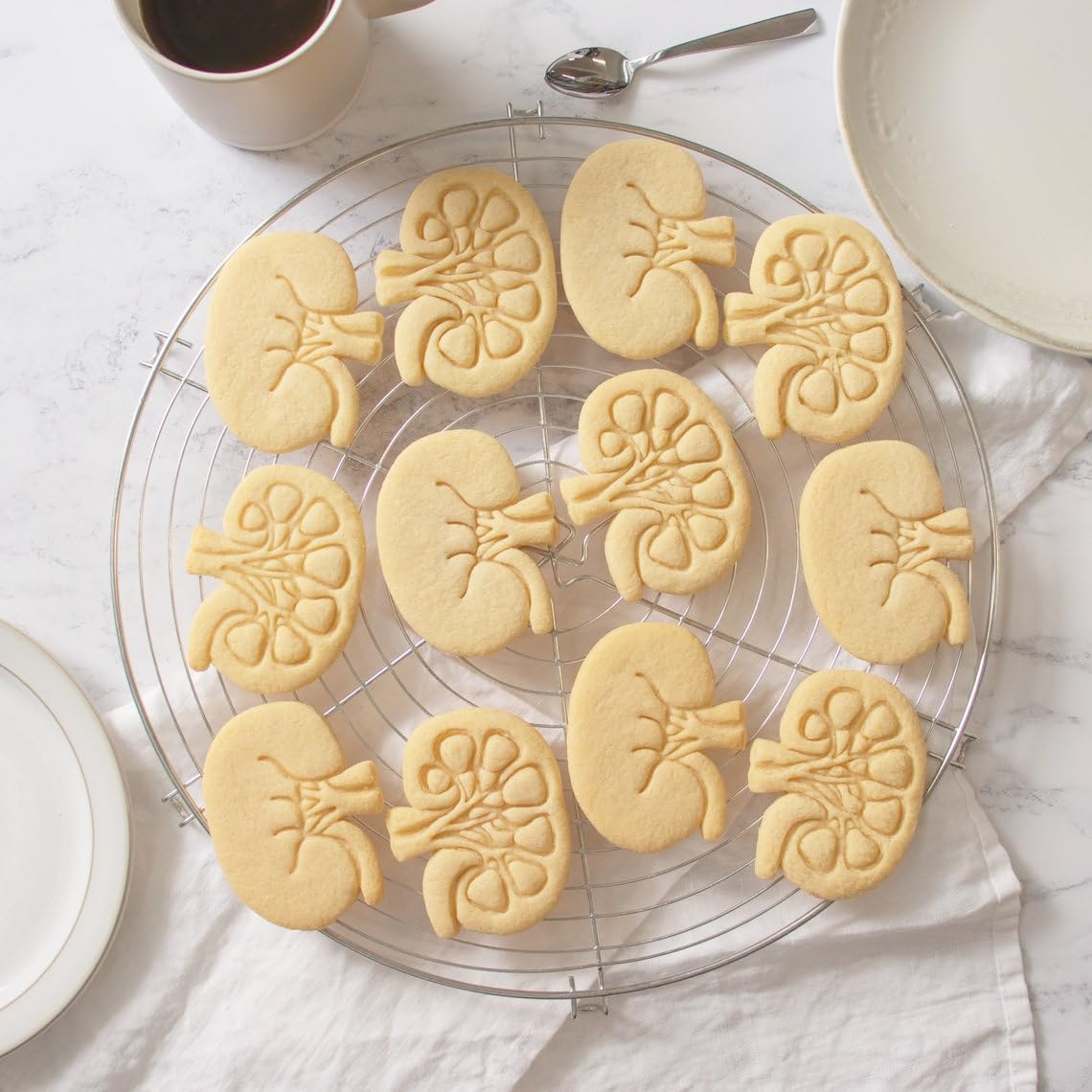 Internal Kidney Cookie Cookie Cutter Design 2 Anatomical Biscuit Cutter Medical Students Human Body Organ Renal System Educational Anatomy Tool Gifts Healthcare and Science (ONLY Design 2) - Image 6