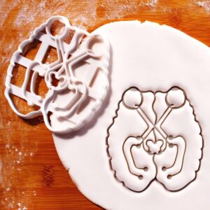 Human Visual System Cookie Cutter Cookie Mold for Biscuit Fondant Clay Baking Neuroanatomy Optic Pathways Brain Science Themed Baking Tools