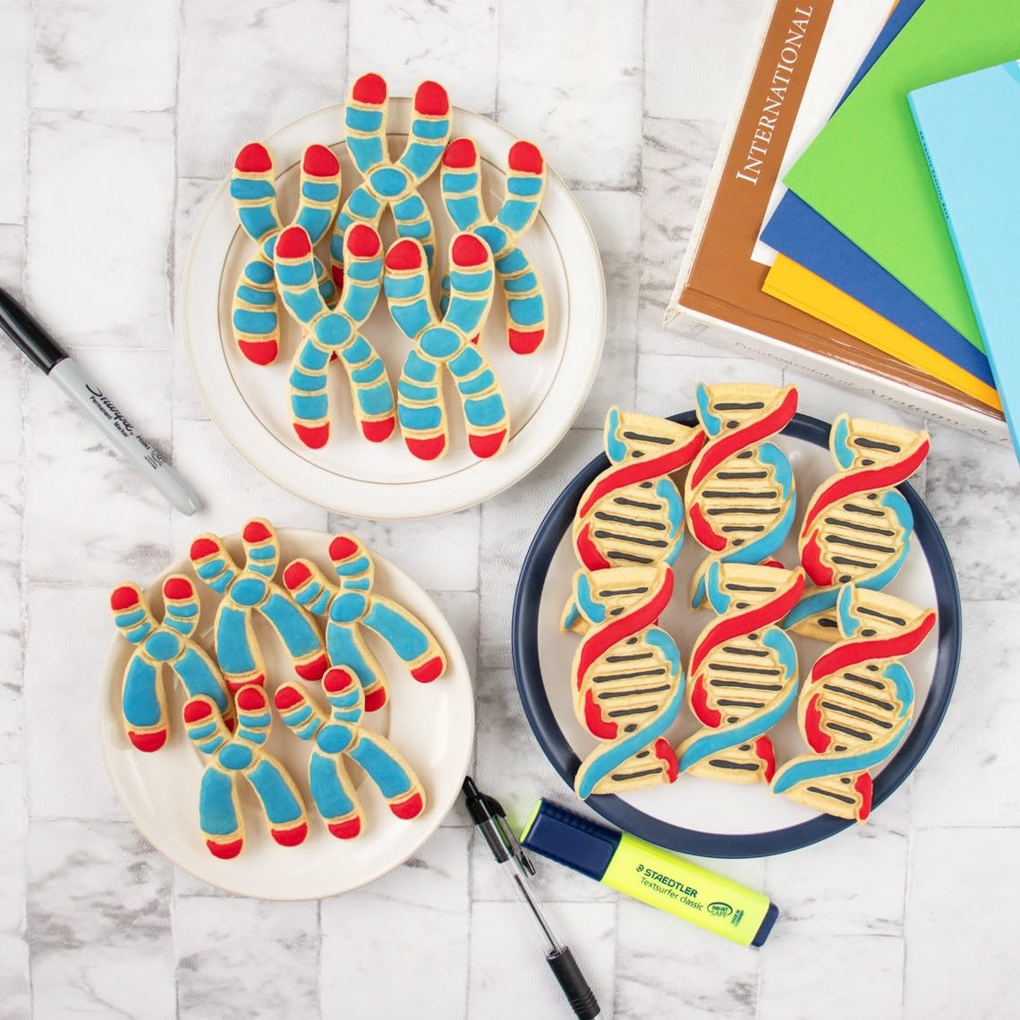 Chromosome Y Cookie Cutter for Genetics Cell Cycle Molecular Biology Microbiology Laboratory Science Baking Tool for Teachers Students DNA Chromatin Learning Cookies India (ONLY CHROMOSOME Y) - Image 5