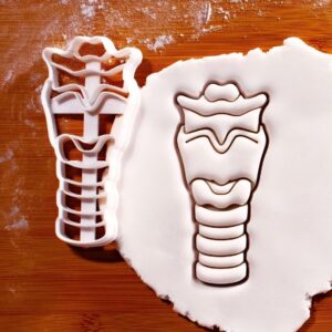 Larynx Anterior View Cookie Cutter Anatomical Baking Medical Students ENT Specialists Anesthesiologists View Biscuit Cutter Educational Tool Medical Study Aid Creative (ONLY ANTERIO VIEW )