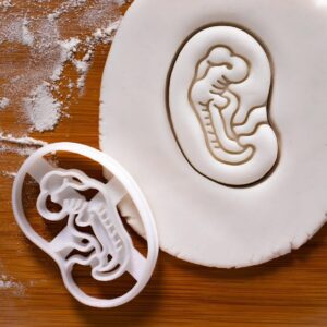 4 Week Fetal Development Cookie Cutter Cookie for Pregnancy Announcement Ultrasound Scan Baby Shower Medical Obstetrics Gynecology Midwife Birth Celebration Baking Tool India (ONLY 4 Week)