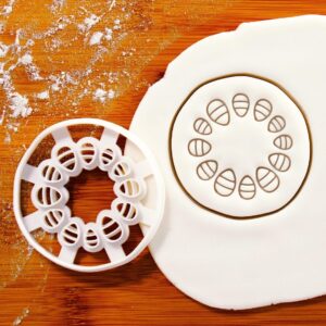 Dicot Stem Anatomy Cookie Cutter Biscuit Mold Science Themed Baking Tool for Biology Students Plant Structure Study Aid Educational Cookies for Learning and Revision Activities