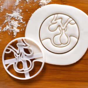 Pituitary Gland Cookie Cutter Biscuit Fondant Clay Baking Endocrine System Balance Educational Anatomy Learning Autoimmune Disorder Health Awareness Medical Study Tool (ONLY PITUITARY GLAND)