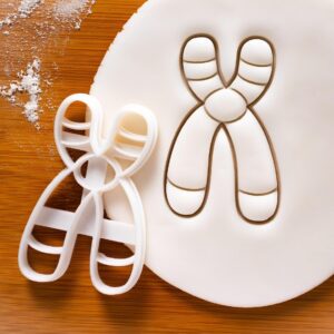 Chromosome Y Cookie Cutter for Genetics Cell Cycle Molecular Biology Microbiology Laboratory Science Baking Tool for Teachers Students DNA Chromatin Learning Cookies India (ONLY CHROMOSOME Y)