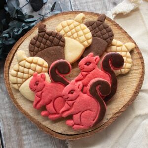 Acorn and Squirrel cookie cutter