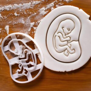 10 Week Fetal Development Cookie Cutter Cookie for Pregnancy Announcement Ultrasound Scan Baby Shower Medical Obstetrics Gynecology Midwife Birth Celebration Baking Tool India (ONLY 10 Week)