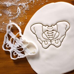 Female Pelvis Cookie Cutter and Biscuit Cutter for Baking Educational Treats Gifts Medical Students Human Anatomy Study Aid Hip Bone Pelvic Skeleton Teaching Tools Science Party (ONLY FEMALE)