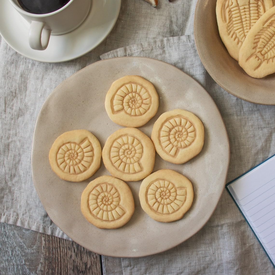 Ammonite Cookie Cookie Cutter for Biscuits Extinct Marine Fossil Shape Jurassic Era Nautiloid Fossilized Shell Design Perfect Science Lovers Paleontology Baking Educational (ONLY Ammonite) - Image 3