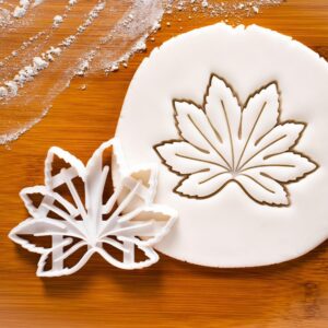 Japanese Aralia Cookie Cutter India Leaf Shape for Houseplant Garden Party Wedding Favors Biscuit Cutter Botanical Baking Tool for Gardening Season Birthday and Nature Inspired (ONLY JAPANESE)