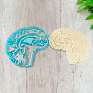 Human Brain Cookie Cutter for Shortbread Cookies Pastry Fondant Sugar Paste Dough Homemade Cake Decoration Neuroscience Theme Baking Tool for Medical Students School Events Crafts