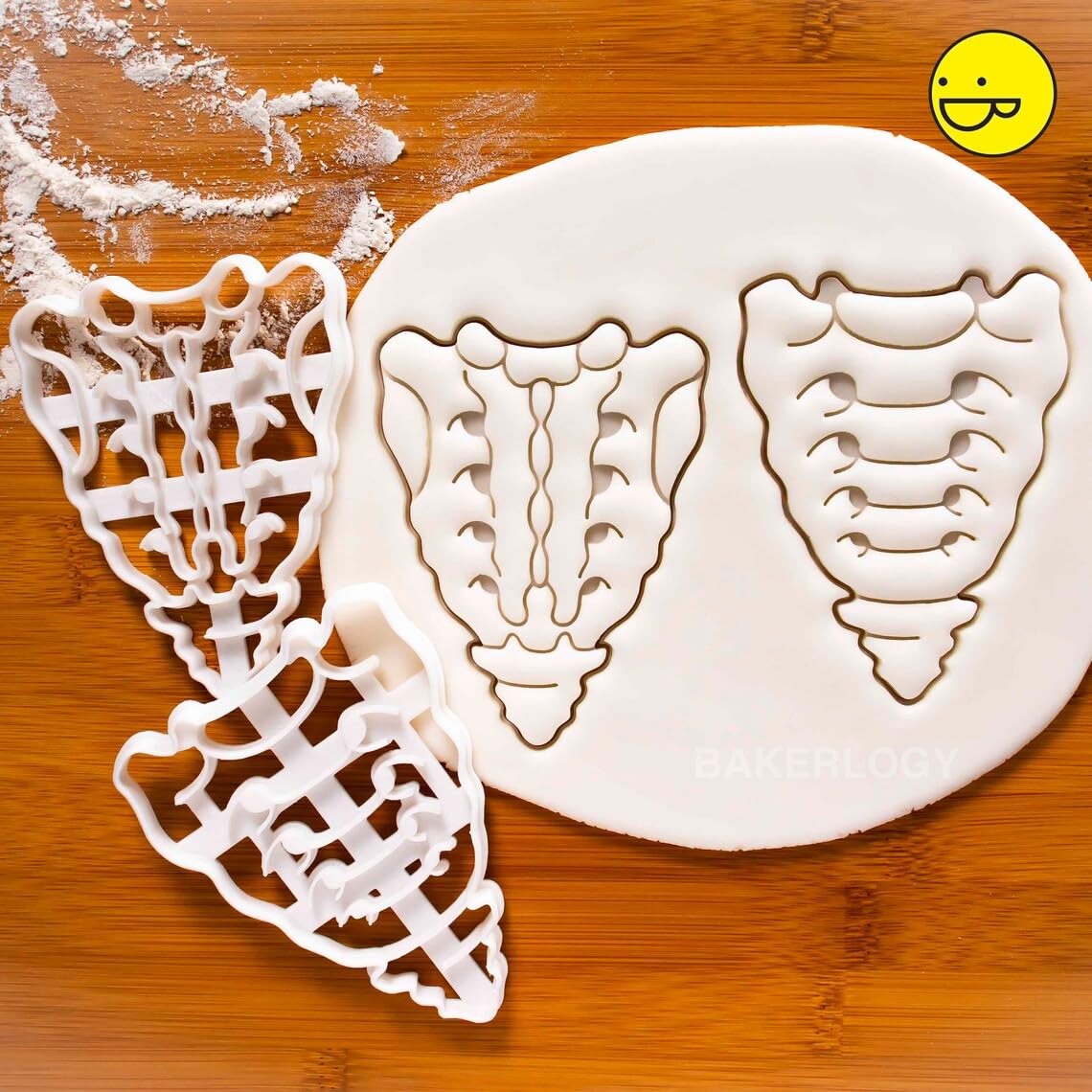 Posterior Sacrum and Coccyx Cookie Cutter Cookie for Medical Science Fans Human Spine Anatomy Baking Tool Educational Party Supplies Ideal for Anatomy Students Science Events (ONLY POSTERIOR) - Image 2