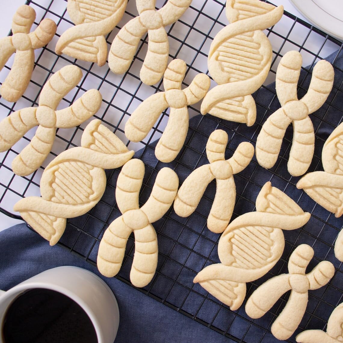 DNA Cookie Cutter Cookie for Genetics Microbiology Cell Cycle Laboratory Science Baking Tool Chromosome Biology Molecular Deoxyribonucleic Acid Educational Cookies India (ONLY DNA) - Image 4