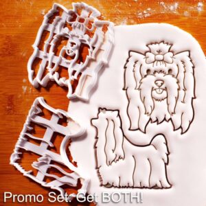 Show Yorkshire Terrier