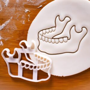 Anatomical Human Mandible Bone Cookie Cutter for Archaeology Enthusiasts Halloween Party Decorations Macabre Anatomy Jaw Fossil Biscuit Baking Tool for Students Teachers and Collectors