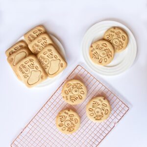 Human Cell and Plant Cell Cookie Cutter