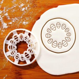 Dicot Stem Anatomy Cookie Cookie Cutter Educational Baking, Biology Study Aids, Plant Structure Science Biscuits, Classroom Learning Tools, STEM Themed Cookies for Students (ONLY DICOT STEM)