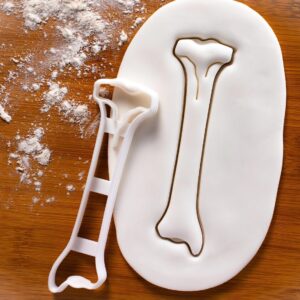 Tibia Cookie Cookie Cutter Featuring Detailed Human Shin Bone Shape Ideal Medical Students Pelvic Os Coxa Innominate Coxal Skeleton Anatomy Study Educational Baking and Medical (ONLY Tibia)
