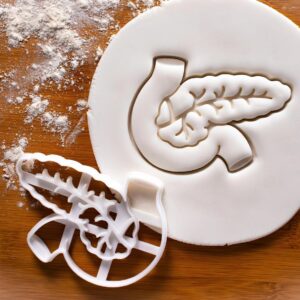 Pancreas Cookie Cookie Cutter Biscuit Fondant Craft Clay Cheese Dough Sugarpaste Craft Baking Tool Pancreatic Organ Anatomy Medical Student Gift Human Body Digestive Diabetes (ONLY Pancreas)