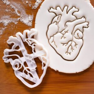 Anatomical Heart and Brain Cookie Cutters Biscuit Mold Medical Science Student Gifts Unique One of a Kind Tools for Baking Educational Medical Themed Treats and Crafting Projects (ONLY HEART)