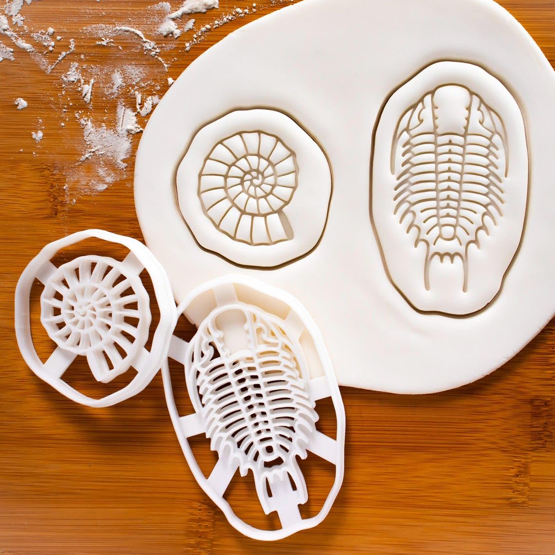 Ammonite Cookie Cookie Cutter for Biscuits Extinct Marine Fossil Shape Jurassic Era Nautiloid Fossilized Shell Design Perfect Science Lovers Paleontology Baking Educational (ONLY Ammonite) - Image 4