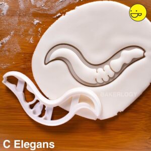 C Elegans Cookie Cutter Caenorhabditis Nematode Shape for Baking Science Biscuits Educational Biology Tools for Students Roundworm Research Crafts Biomedical Laboratory Projects (C ELEGANS)