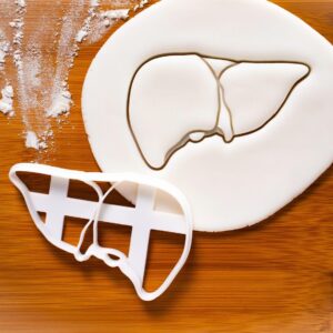 Liver Cookie Cookie Cutter for Human Body Anatomy Baking, Ideal Gift Internal Medicine Professionals, Doctors, Nurses, Medical Students, Themed Halloween Parties or Educational (ONLY Liver)
