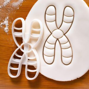 Chromosome Cookie Cutter Cookie for Genetics Cell Cycle Molecular Biology Microbiology Laboratory Science Baking Tool Students Teachers DNA Education Chromatin Cookies India (ONLY CHROMOSOME)