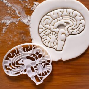 Anatomical Brain Cookie Cutter Biscuit Mold Medical Science Student Gifts Unique One of a Kind Baking Tool Healthcare Education Creative Medical Themed Cookies and Craft Projects (ONLY BRAIN)